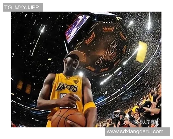 2019年NBA总决赛热火与湖人精彩对决回顾与分析
