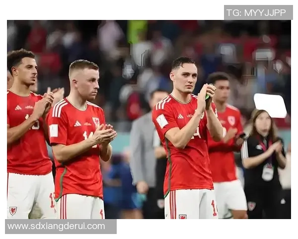 世预赛丹麦对波兰精彩直播全程回顾与赛后分析 世预赛丹麦对波兰精彩直播全程回顾与赛后分析