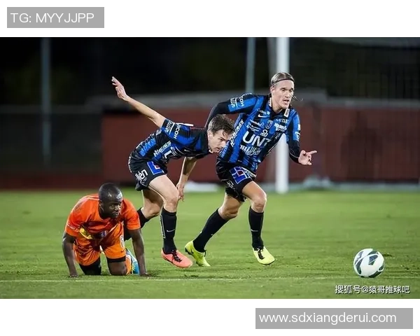 丹麦与葡萄牙激战正酣网易独家解析精彩赛事瞬间