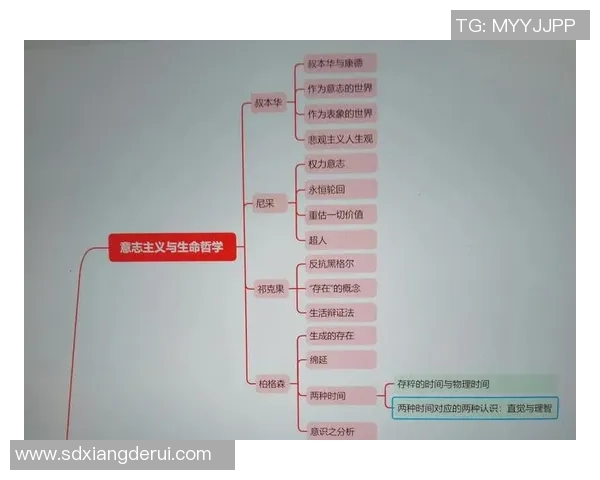 刘泽一：从平凡到卓越的奋斗历程与人生哲学探讨