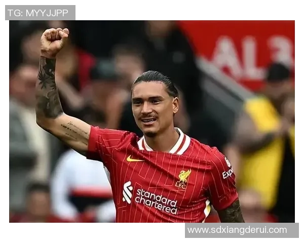 努涅斯的崛起与挑战：探讨这位新星在足球界的未来潜力与发展方向