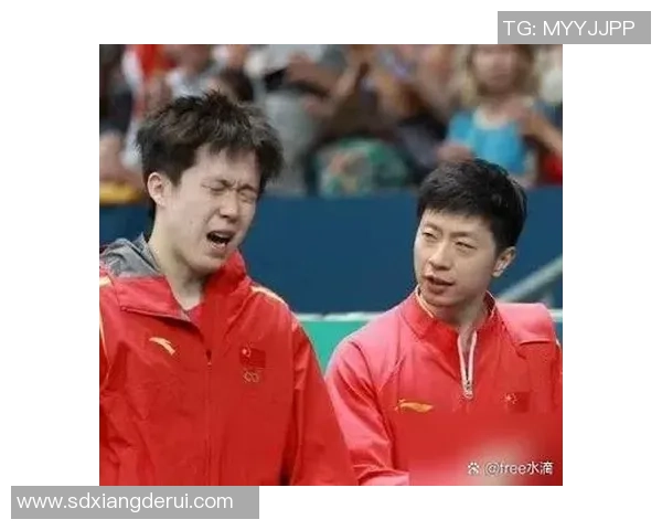 王皓与马龙在2009年巅峰对决的精彩瞬间与技术分析