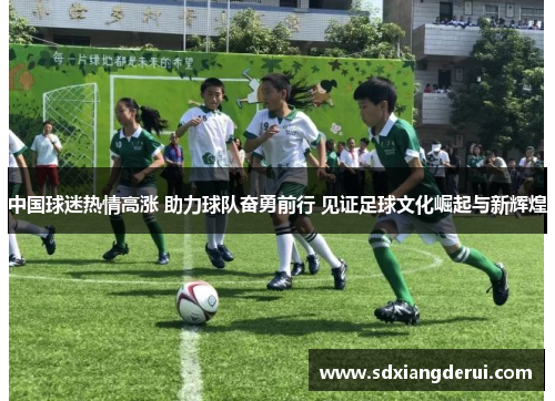 中国球迷热情高涨 助力球队奋勇前行 见证足球文化崛起与新辉煌