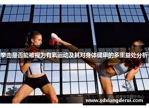 拳击是否能被视为有氧运动及其对身体健康的多重益处分析