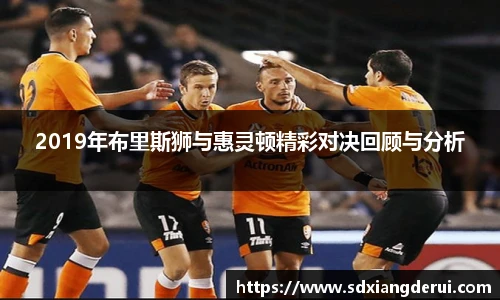 2019年布里斯狮与惠灵顿精彩对决回顾与分析